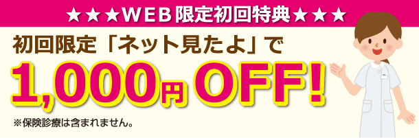 土日祝フリーパス