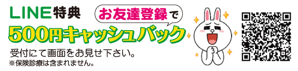 土日祝フリーパス